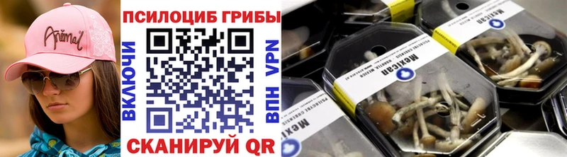 Купить закладки  Балей  Галлюциногенные грибы MAGIC MUSHROOMS 
